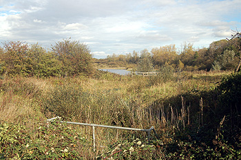 Countryside at Kempston Hardwick October 2011